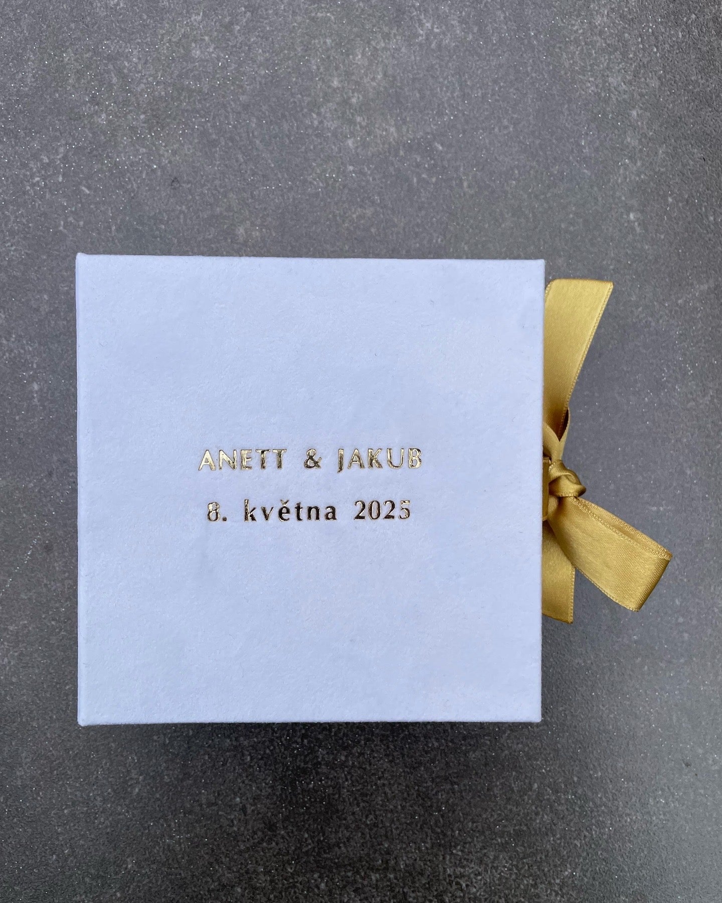 Speciální kolekce PAVLOK'S x fotoalba_bara